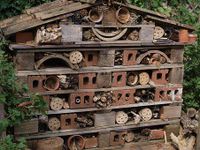 bug-hotel-2710790__340