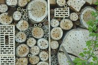 insect-hotel-2228336__340