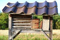 insect-hotel-4410714__340