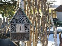 insect-hotel-4883702__340