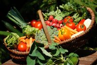 vegetables-3400809_960_720